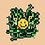 blip
